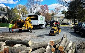 Best Tree and Shrub Care  in Berlin, NJ